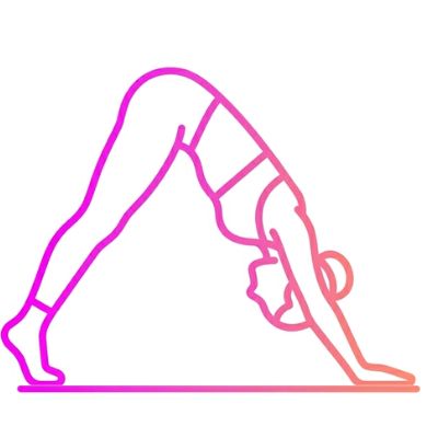 Pilates Icon 2